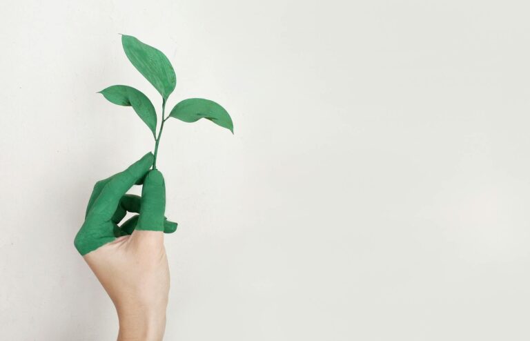 Seed Capital, entre la vida y la muerte de una empresa