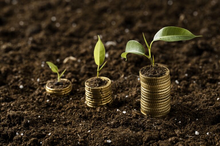 Capital Semilla: Cómo conseguir inversión inicial para tu emprendimiento